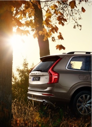 xc90fall_small